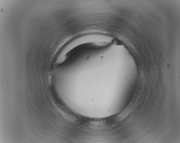 X0000068770160200605262215