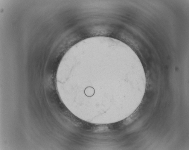 X0000068770162200605262215