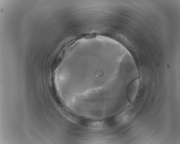 X0000068770163200605262215