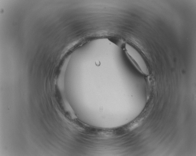 X0000068770164200605262215