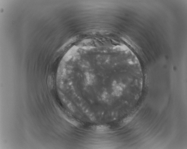 X0000068770165200605262215