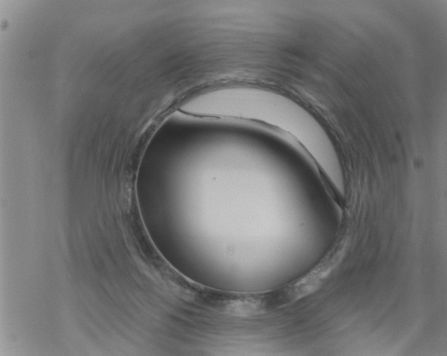 X0000068770168200605262215