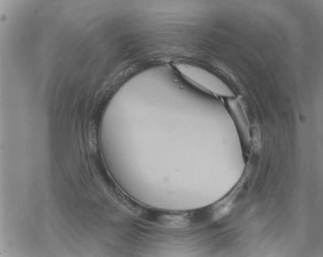 X0000068770170200605262215