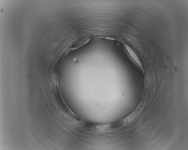 X0000068770172200605262215