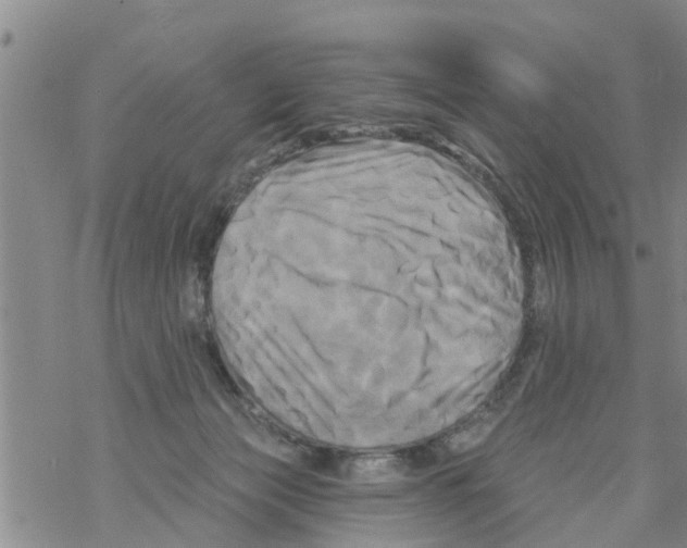 X0000068770173200605262215