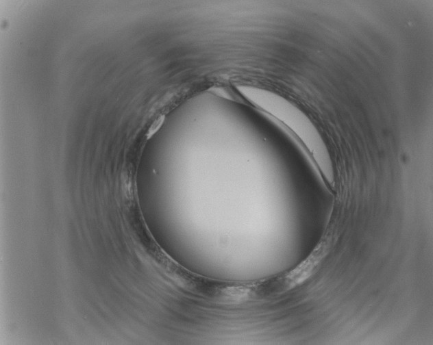 X0000068770176200605262215