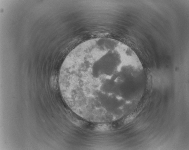 X0000068770177200605262215