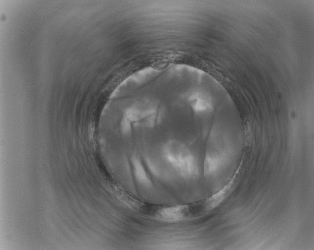 X0000068770178200605262215