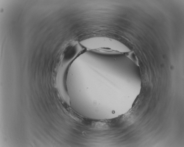 X0000068770180200605262215