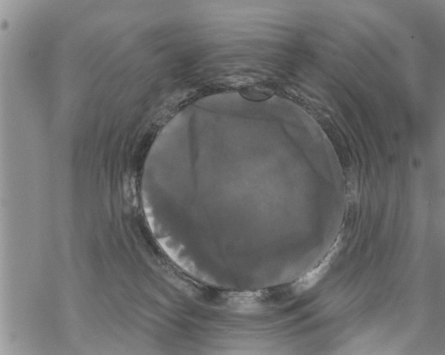 X0000068770182200605262215