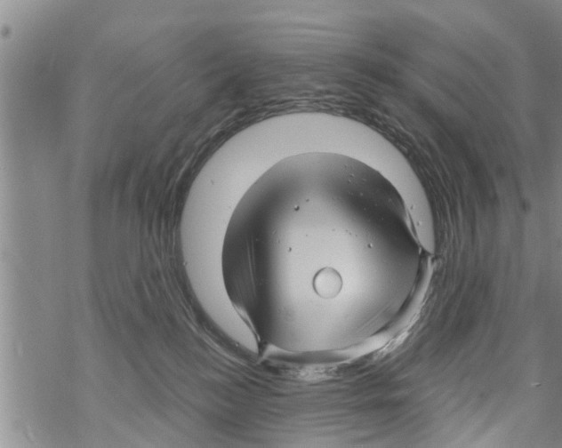 X0000068770184200605262215