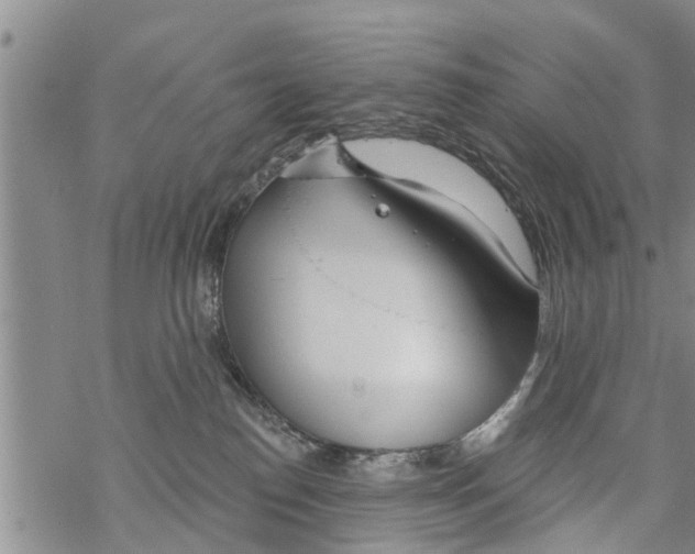 X0000068770186200605262215