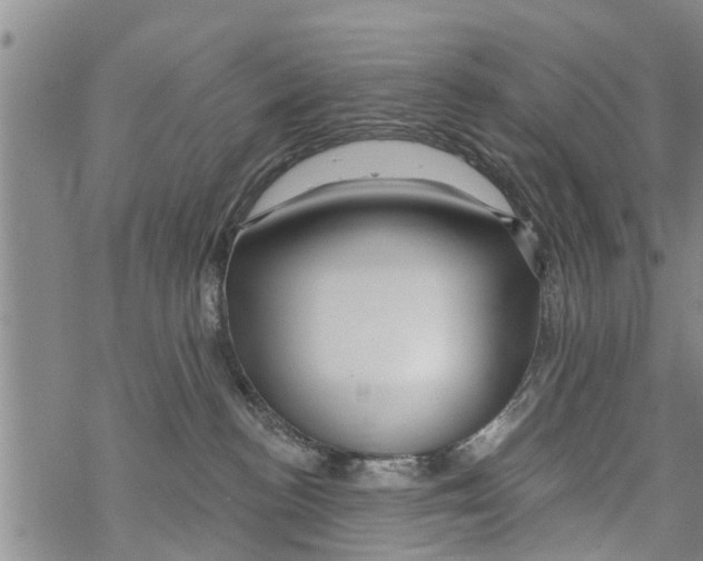 X0000068770188200605262215