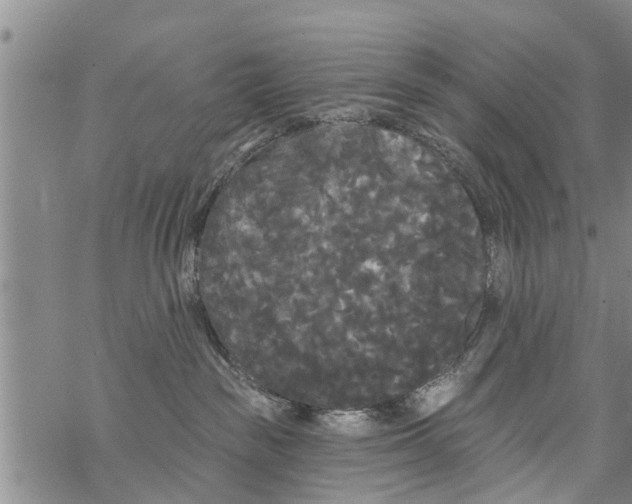 X0000068770189200605262215