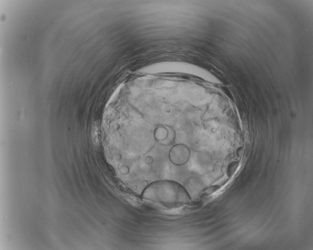 X0000068770191200605262215