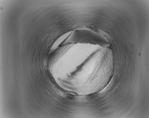 X0000068770192200605262215