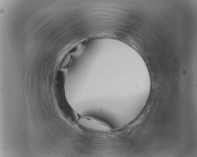 X0000068770193200605262214