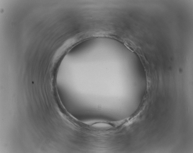 X0000068770197200605262214