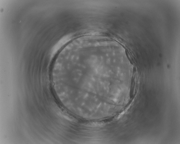 X0000068770198200605262214