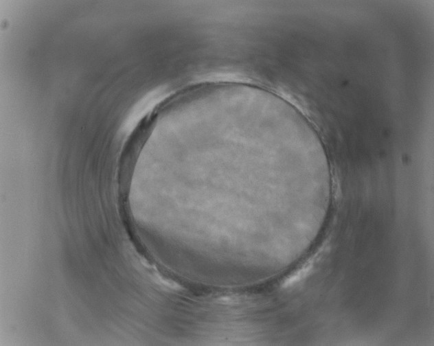 X0000068770199200605262214