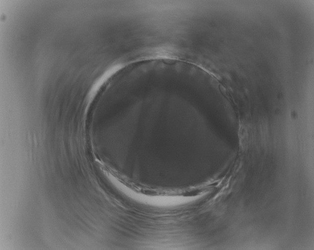 X0000068770200200605262214