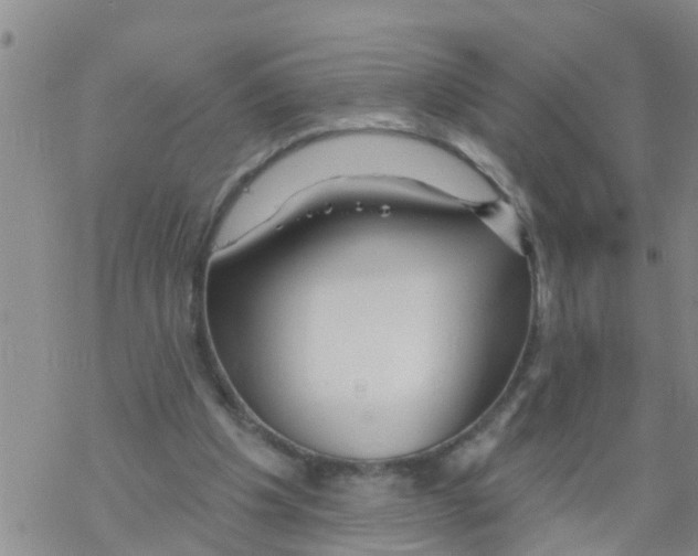 X0000068770201200605262214