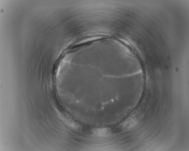 X0000068770202200605262214