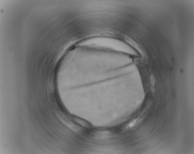 X0000068770203200605262214