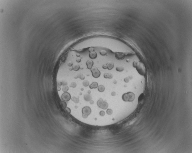 X0000068770204200605262214