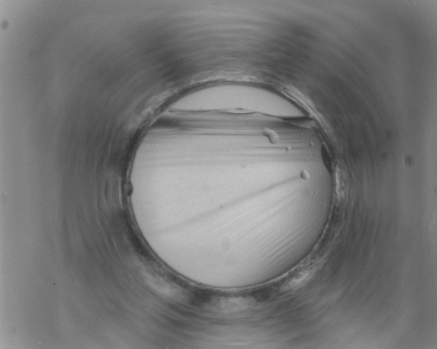 X0000068770205200605262214