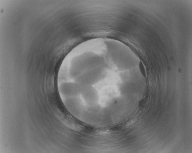 X0000068770206200605262214