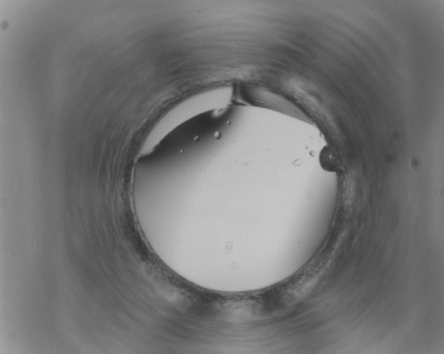 X0000068770209200605262214