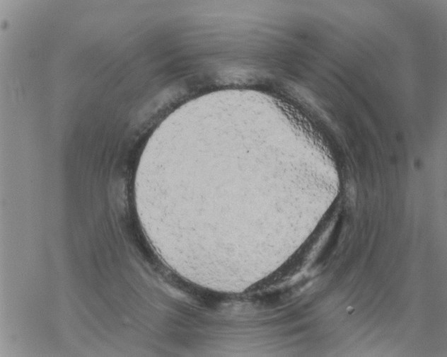 X0000068770211200605262214