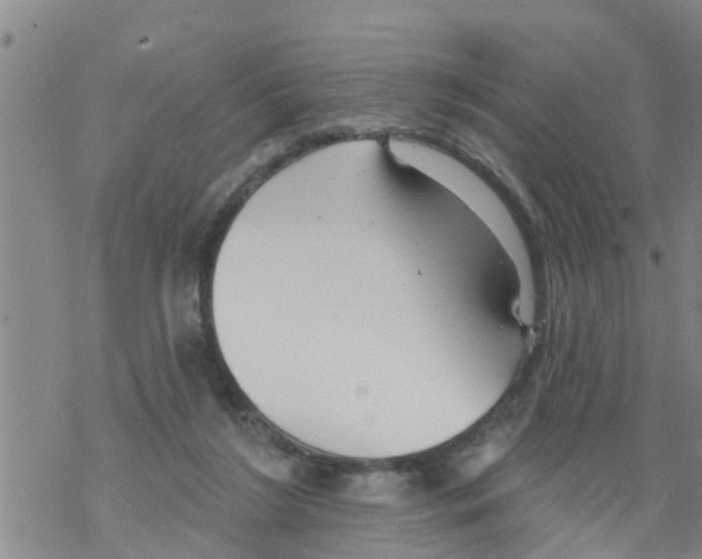 X0000068770212200605262214