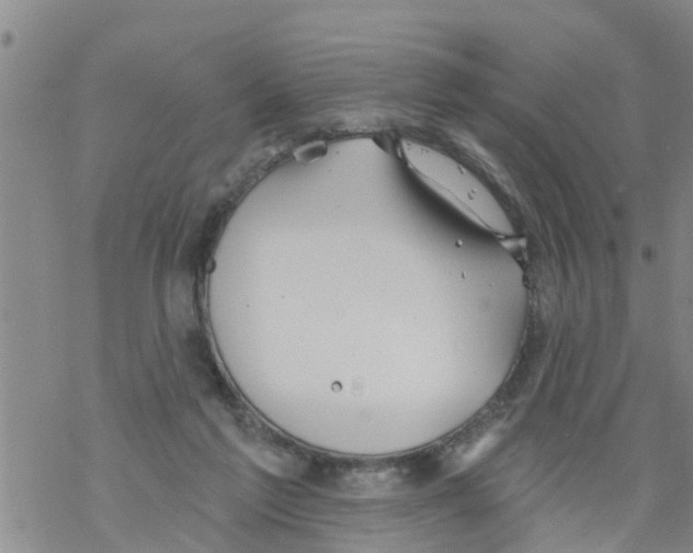 X0000068770213200605262214