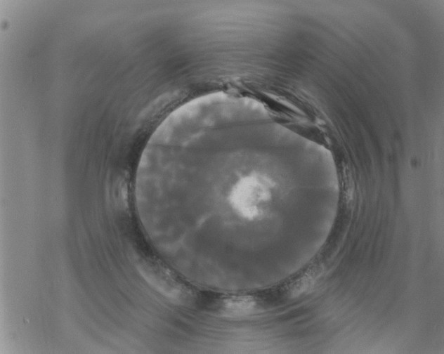 X0000068770214200605262214