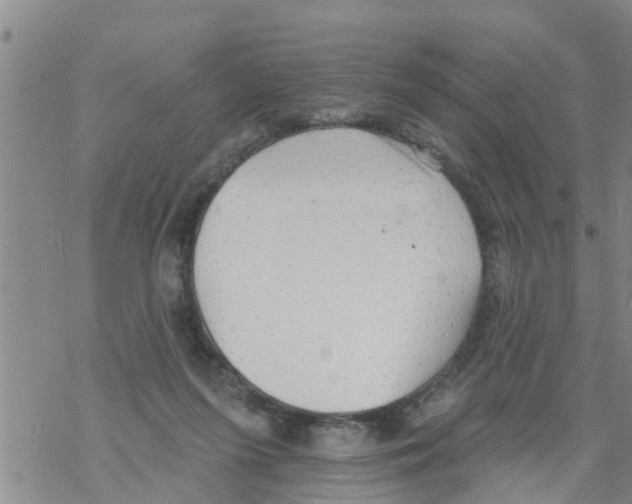 X0000068770215200605262214