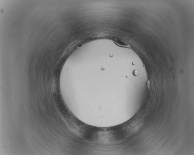 X0000068770216200605262214