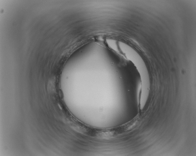 X0000068770217200605262214