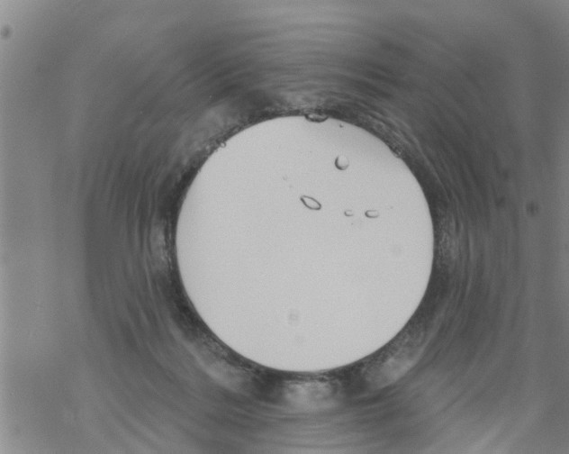 X0000068770220200605262214