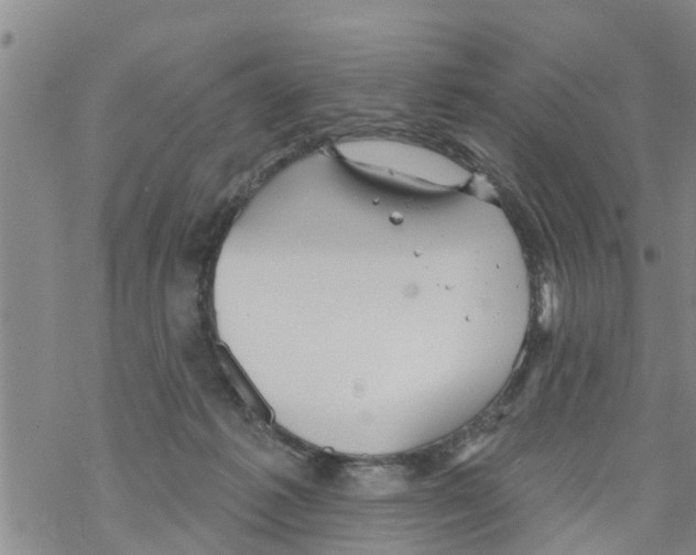 X0000068770221200605262214