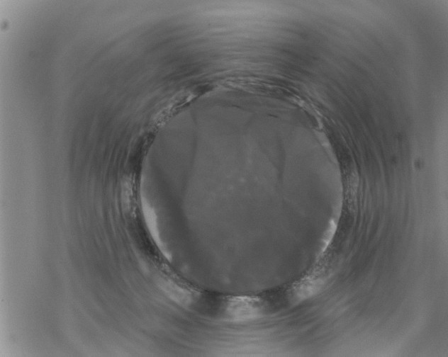 X0000068770222200605262214