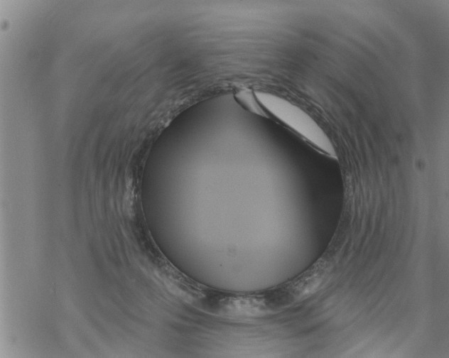 X0000068770223200605262214