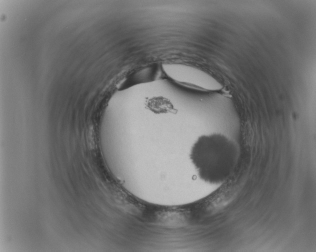 X0000068770224200605262214