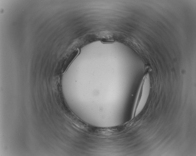 X0000068770229200605262214