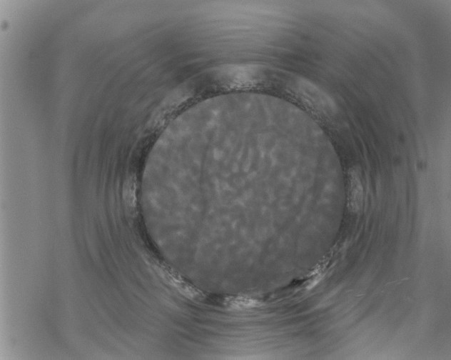 X0000068770230200605262214