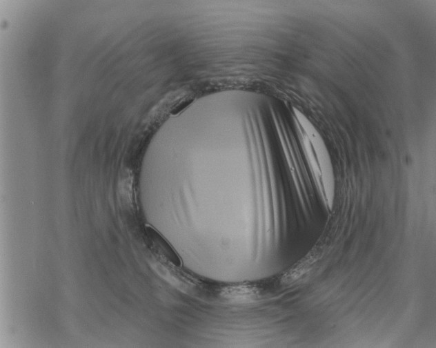 X0000068770231200605262214