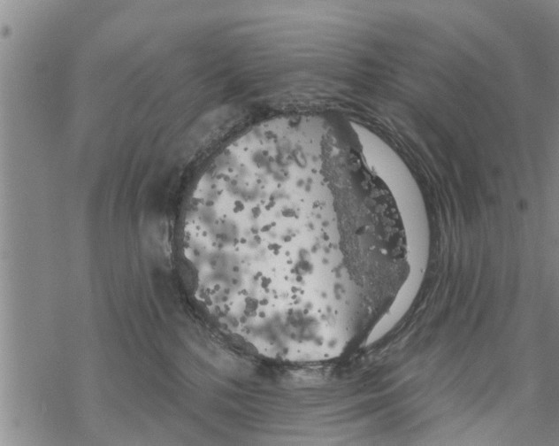 X0000068770232200605262214