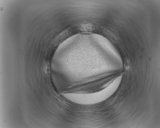 X0000068770233200605262214