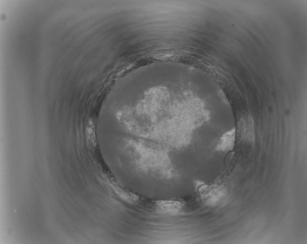 X0000068770234200605262214